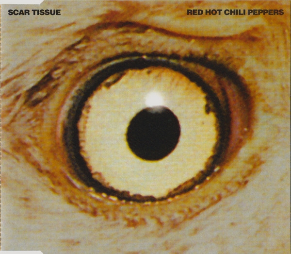 Red Hot Chili Peppers - Scar Tissue | Warner Bros. Records (9362 44690-2) Red Hot Chili Peppers - Scar Tissue | Warner Bros. Records (9362 44690-2)
