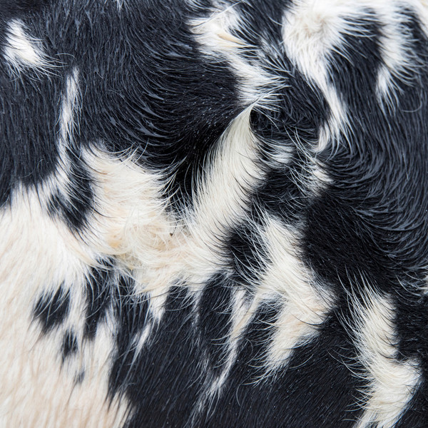 Blawan - Dismantled Into Juice | XL Recordings (XL1330T)