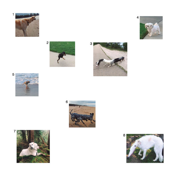 Our Souls Are In The Hands Of The Translator - An Era Of Spiritual Tenebrae | Modern Obscure Music (MOM031)