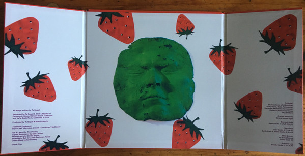 Ty Segall - First Taste | Drag City (DC738) - 4 Ty Segall - First Taste | Drag City (DC738) - 4