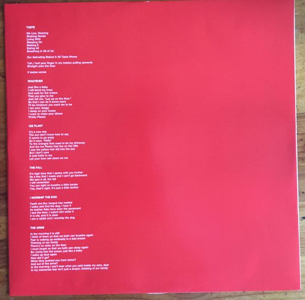 Ty Segall - First Taste | Drag City (DC738) - 5 Ty Segall - First Taste | Drag City (DC738) - 5