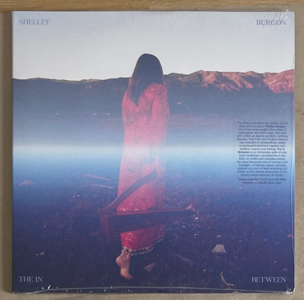 Shelley Burgon - The In Between | Thin Wrist Recordings (TW U-LP)