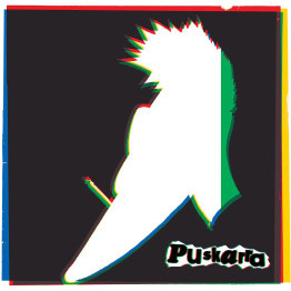 Puskarra - Puskarra - Edición Integral | Subterfuge Records (210282SUB)