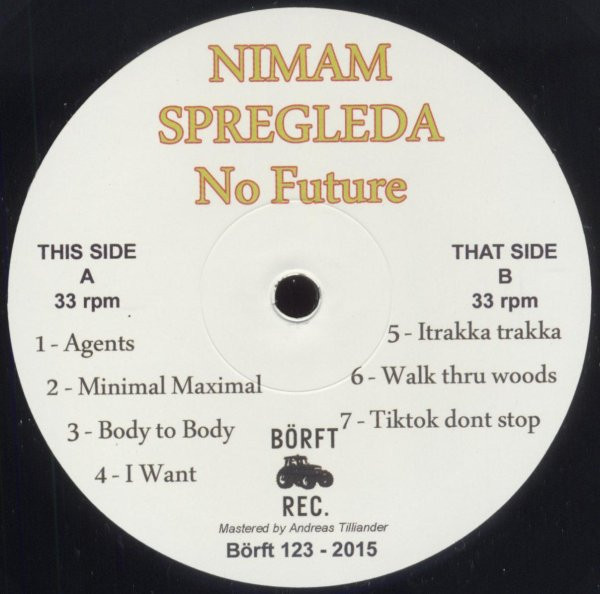 Nimam Spregleda - No Future | Börft Records (Börft 123)