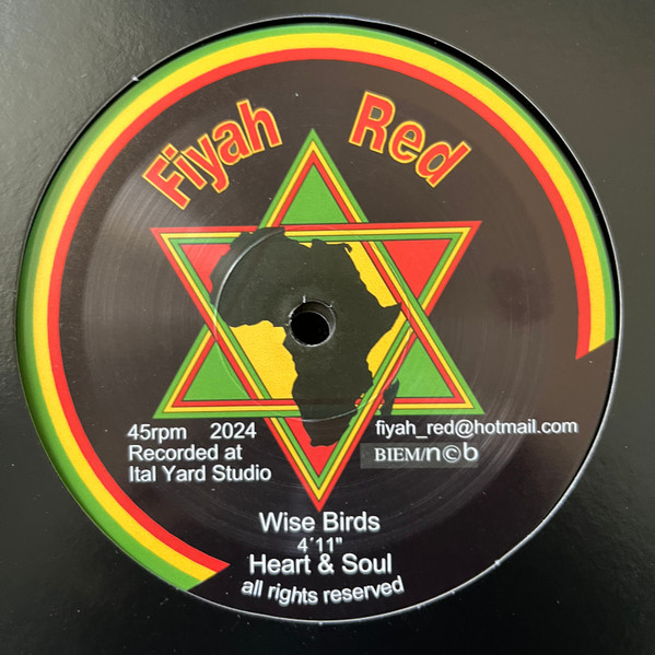 Heart & Soul - Wise Birds | Fiyah Red (FIYAH003)