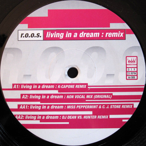 R.O.O.S. - Living In A Dream (Remix) | Kingsize (019) - 2