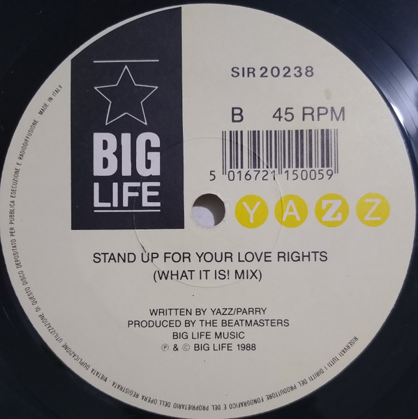 Yazz - Stand Up For Your Love Rights | Big Life (SIR 20238) - 4