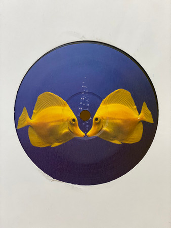 John Paul Young - Love Is In The Air | Not On Label (John Paul Young) (JPY LOVE) - 4