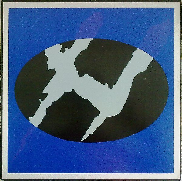 Digital Boy - Technologiko | Flying Records (FLY 047 LP)