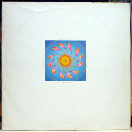 Tiny Lights - Flowers Through The Air | Temple Records (TOPY 008)