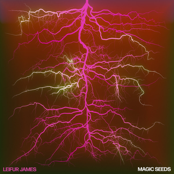 Leifur James - Magic Seeds | Night Time Stories (ALNLP73W) Leifur James - Magic Seeds | Night Time Stories (ALNLP73W)