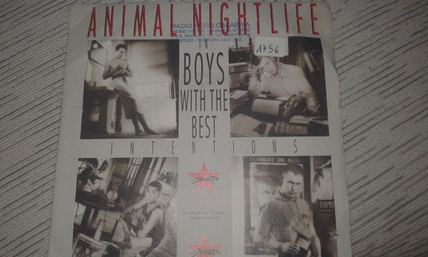 Animal Nightlife - Boys With The Best Intentions | 10 Records (VIN 45251)