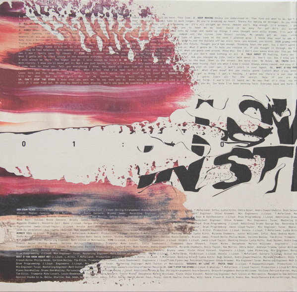 Jungle - Loving In Stereo | Caiola Records (CAI001LPIND) - 2