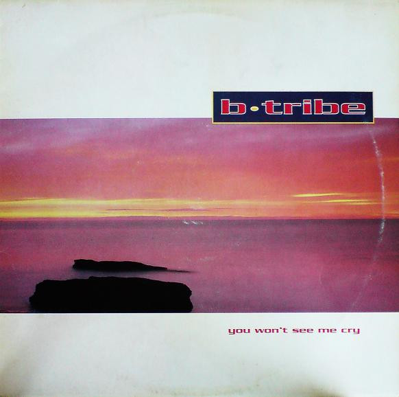 B-Tribe - You Won't See Me Cry | EastWest (YZ 793T) B-Tribe - You Won't See Me Cry | EastWest (YZ 793T)