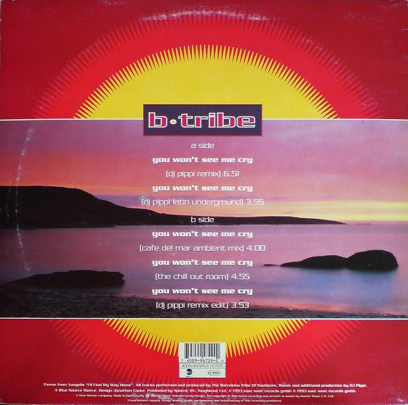 B-Tribe - You Won't See Me Cry | EastWest (YZ 793T) - 2 B-Tribe - You Won't See Me Cry | EastWest (YZ 793T) - 2