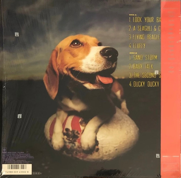 Himiko Kikuchi - Flying Beagle | Great Tracks (MHJL-440) - 4