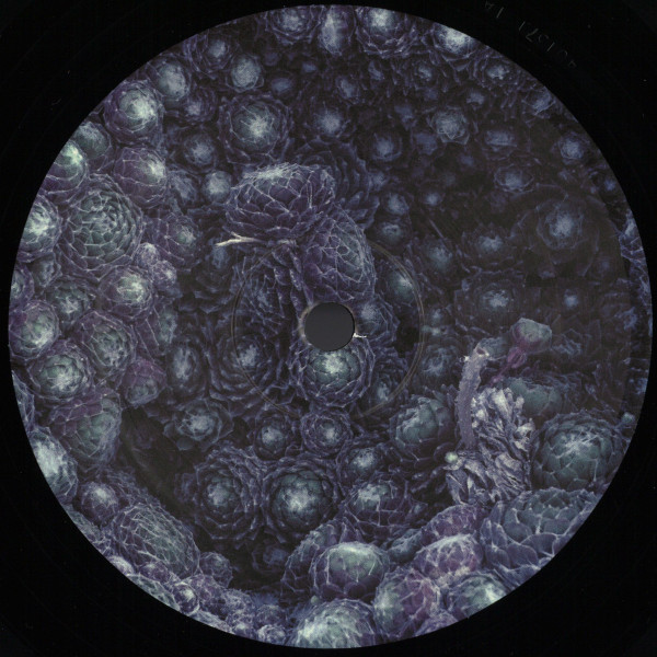 Orbe - Incremental | K S R (KSR012) - main Orbe - Incremental | K S R (KSR012) - main