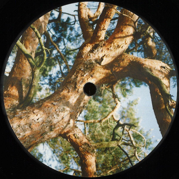 Various - Untitled | blundar (BLUNDAR4)