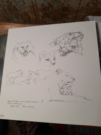 Raccomandata Ricevuta Ritorno - In Rock | AMS Records (AMSLP148) - 3