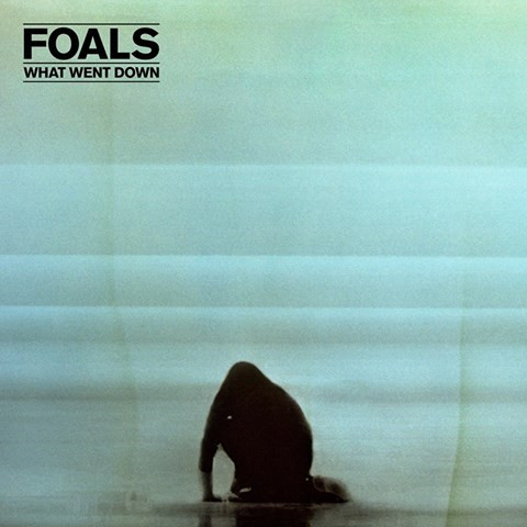 Foals - What Went Down | Transgressive Records (0825646075034)