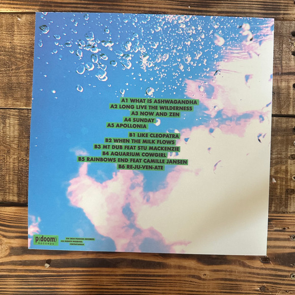 The Babe Rainbow - Slipper Imp and Shakaerator | p(doom) records (198704274770) - 3 The Babe Rainbow - Slipper Imp and Shakaerator | p(doom) records (198704274770) - 3