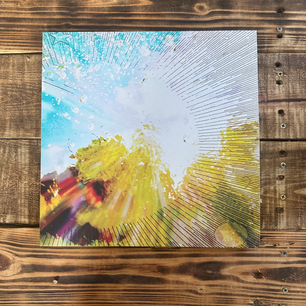 The Babe Rainbow - Slipper Imp and Shakaerator | p(doom) records (198704274770) - 2 The Babe Rainbow - Slipper Imp and Shakaerator | p(doom) records (198704274770) - 2