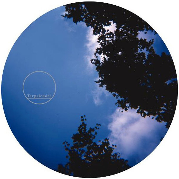 The Florian Muller Project - As Usual EP (The Oliverwho Factory Remix) | Terpsichóré (TER004)