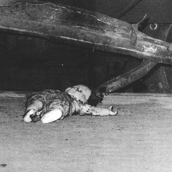 Cicciolina Holocaust / Sermonizer - Albeit Albeit / Sibelius Spiders | Forced Nostalgia (FN002)