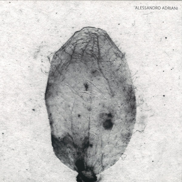 Alessandro Adriani - Enter the Fire | Stroboscopic Artefacts (SA031)