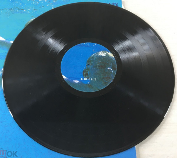 Nirvana - Nevermind (Demo & Outtakes) | Radical (1122) - 2