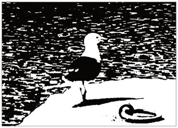 TapesJamaican - Zero Seagull EP | First Cut (First Cut 005)