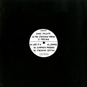 Jonas Palzer - In The Evening There Is Feeling | LACKREC. (LACK 009) - 2