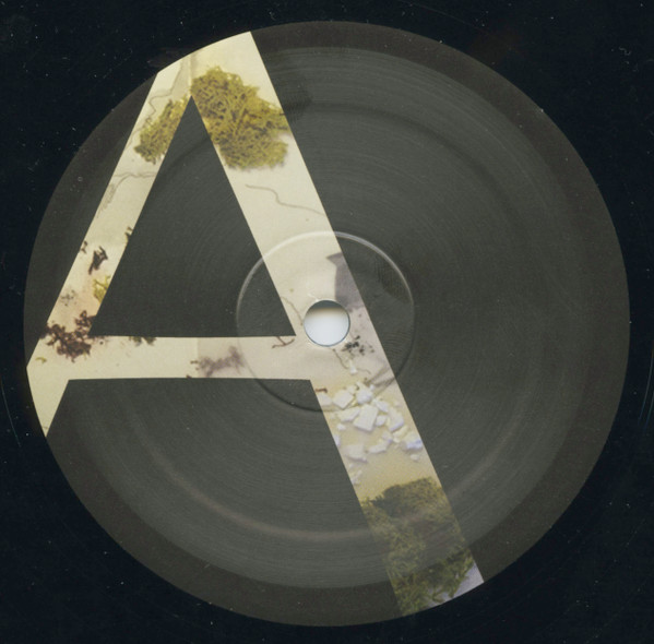 Giovanni Di Domenico & Zugzwang - Wesen | Silent Water (SW019) - 2