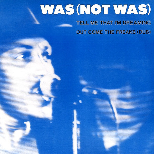 Was (Not Was) - Tell Me That I'm Dreaming / Out Come The Freaks (Dub) | Island Records (12WIP 6776)