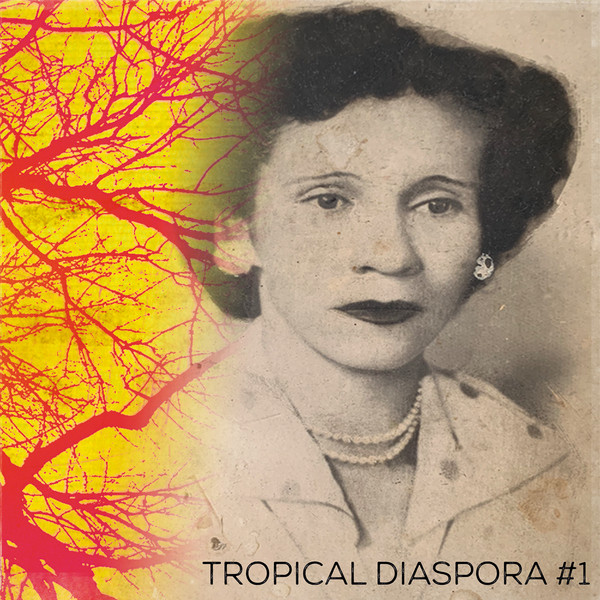 Various - Tropical Diaspora #1 | Tropical Diaspora Records (TDR010)