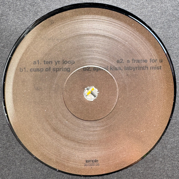 Adam Feingold - Nothing Is A Field | Temple (TMPL009) - 2