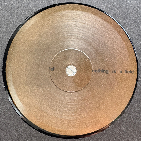 Adam Feingold - Nothing Is A Field | Temple (TMPL009)