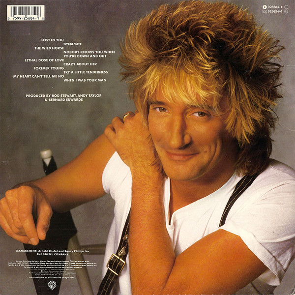 Rod Stewart - Out Of Order | Warner Bros. Records (925684-1) - 2