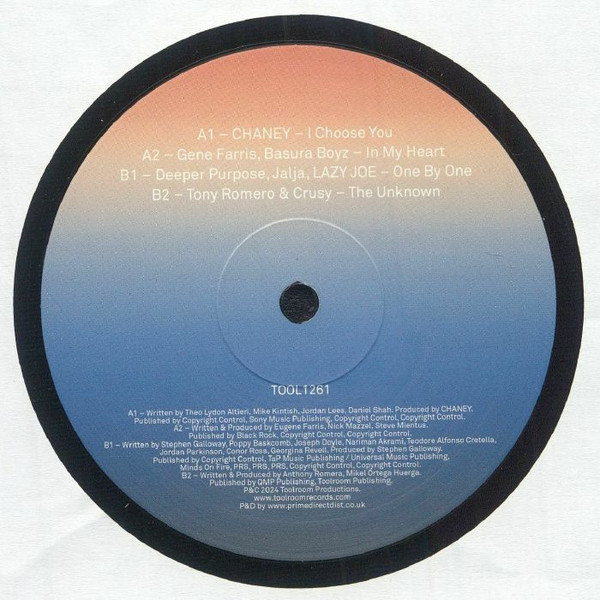 Various - Toolroom Sampler Vol. 14 | Toolroom Records (TOOL1261) - 2 Various - Toolroom Sampler Vol. 14 | Toolroom Records (TOOL1261) - 2