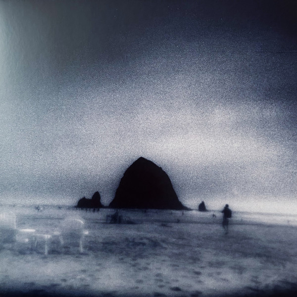 Drowse - Wane Into It | Flenser Records (FR140)