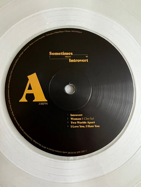 Little Simz - Sometimes I Might Be Introvert | Age 101 Music (AGE101002LP) - 4