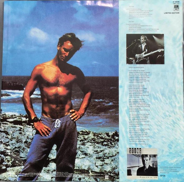 Sting - Love Is The Seventh Wave | A&M Records (X 13230)