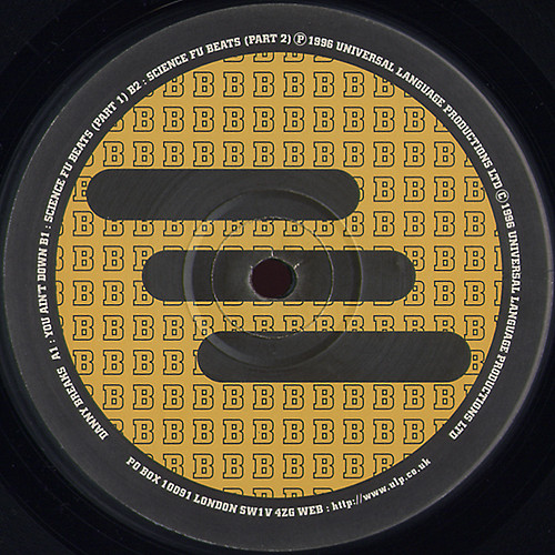 Danny Breaks - You Ain't Down | Evolution (EVO081)