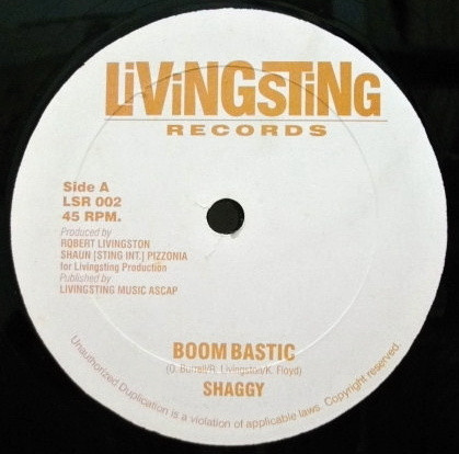 Shaggy - Boom Bastic | Living Sting (LSR 002) - main