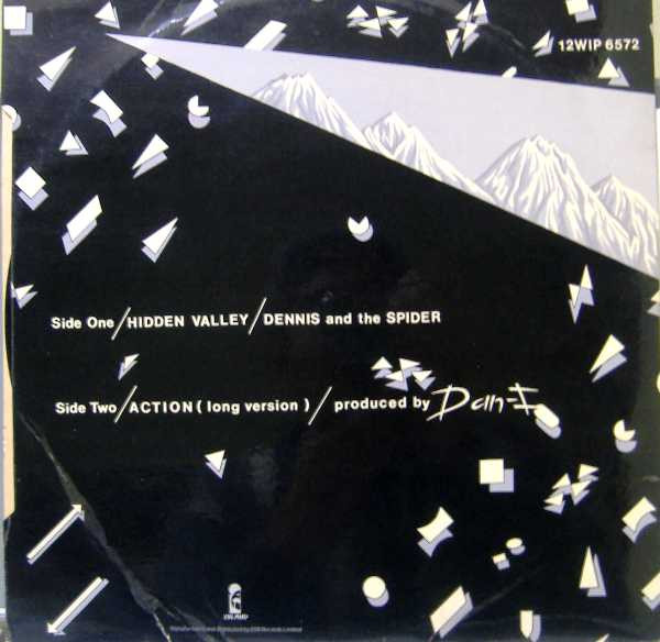 Dan-I - The Hidden Valley | Island Records (12WIP 6572)