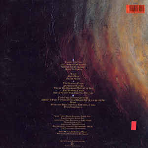 David Sylvian - Gone To Earth | Virgin (VDLI) - 4