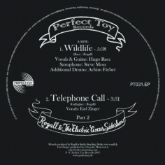 Rogall & The Electric Circus Sideshow - Part 2 | Perfect.Toy Records (PT031.EP)