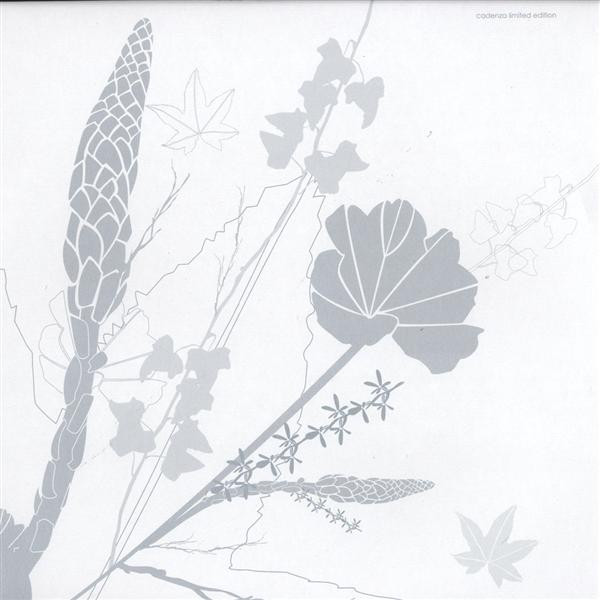 NSI - Clara Ghavami Extended | Cadenza (CAD5.5)