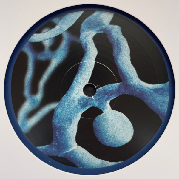 Oye Manny - Living Water | Darker Than Wax (DTW081) - main