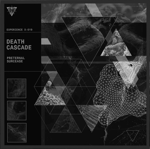 Death Cascade - Preternal Surcease | Cathartic Noize Experience (Experience X-019)